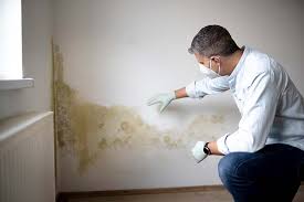 Best Mold Removal for HVAC Installations  in Ridgely, MD